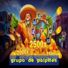 grupo de palpites de futebol whatsapp